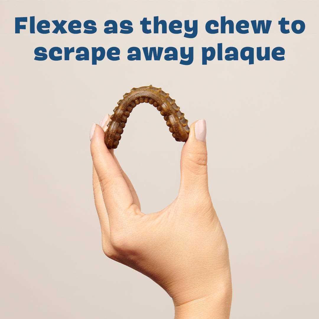 Long Lasting Dog Dental Chews C23343