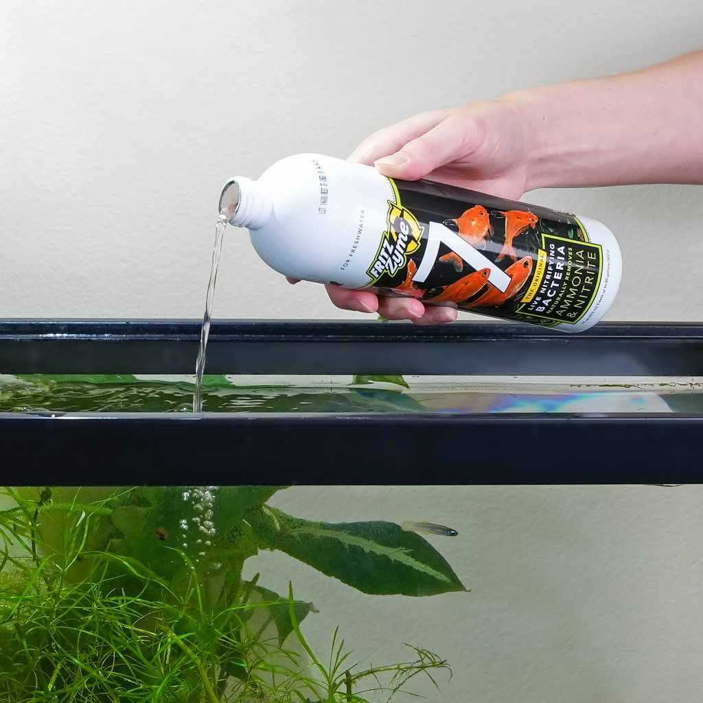 Freshwater Nitrifying Bacteria L56257