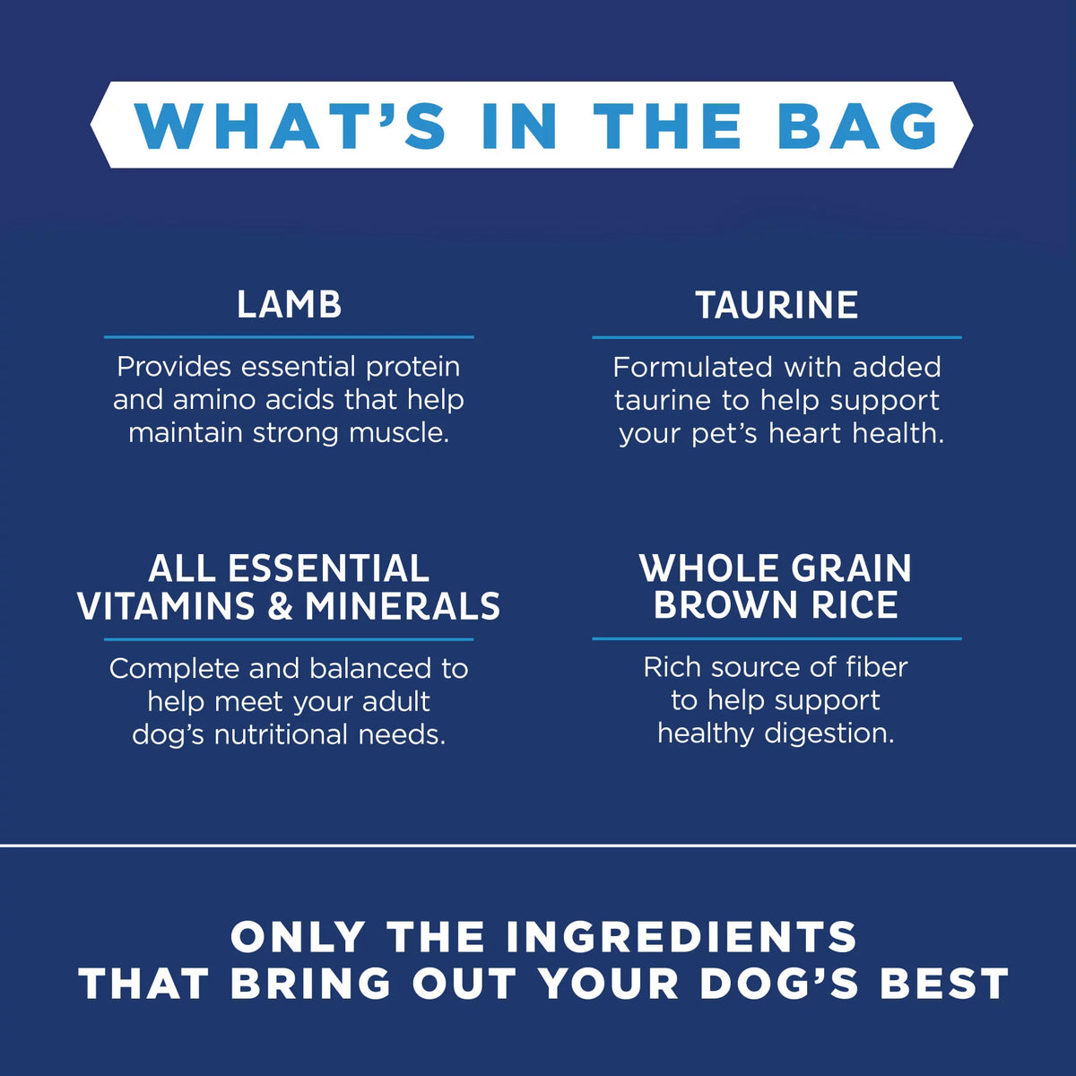4 Pounds Limited Ingredient Dry Dog Food M282