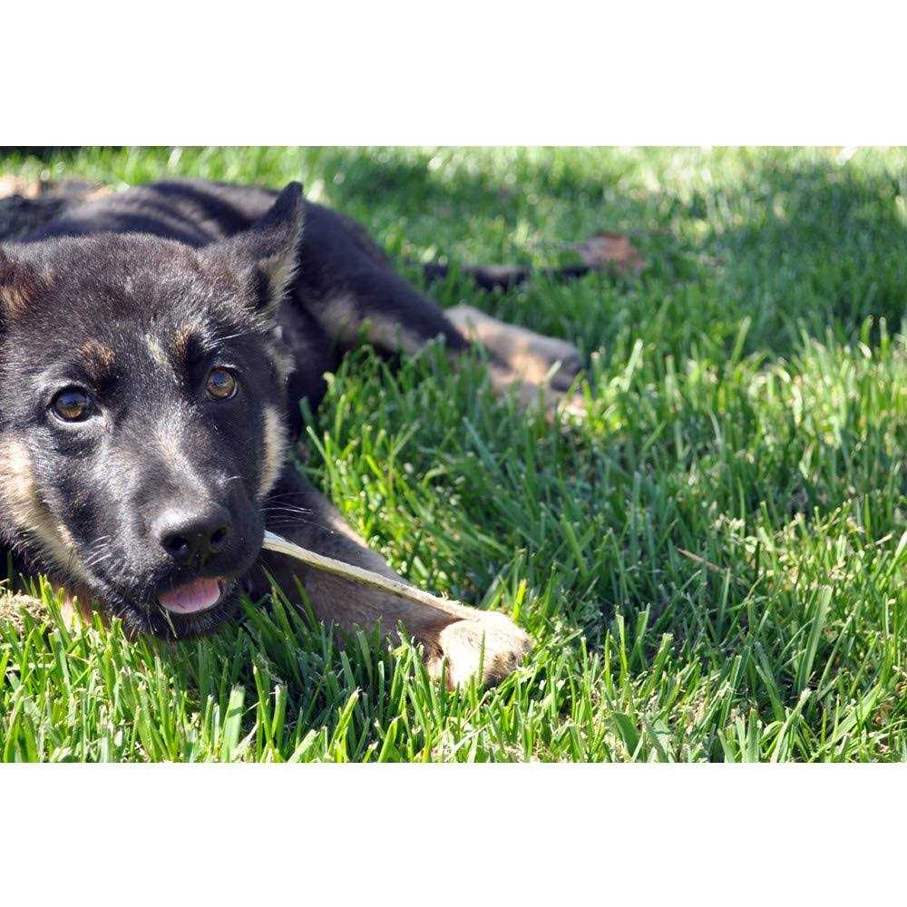 Oral Hygiene Dental Dog Treats E606