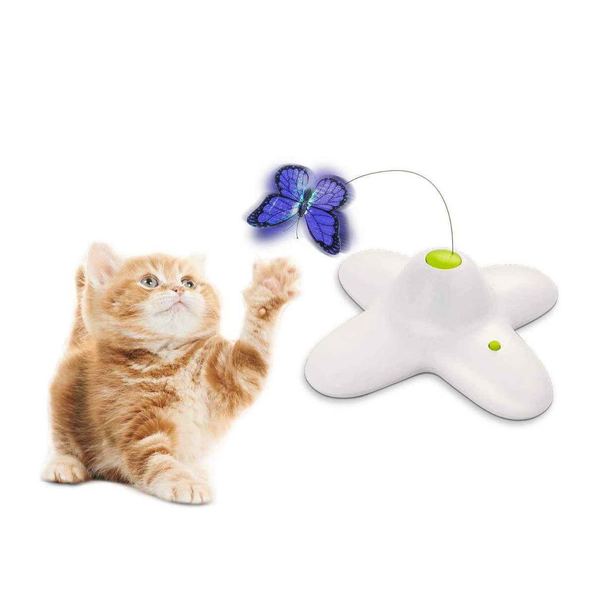 Interactive Cat Butterfly Toy with Two Replacements R378860
