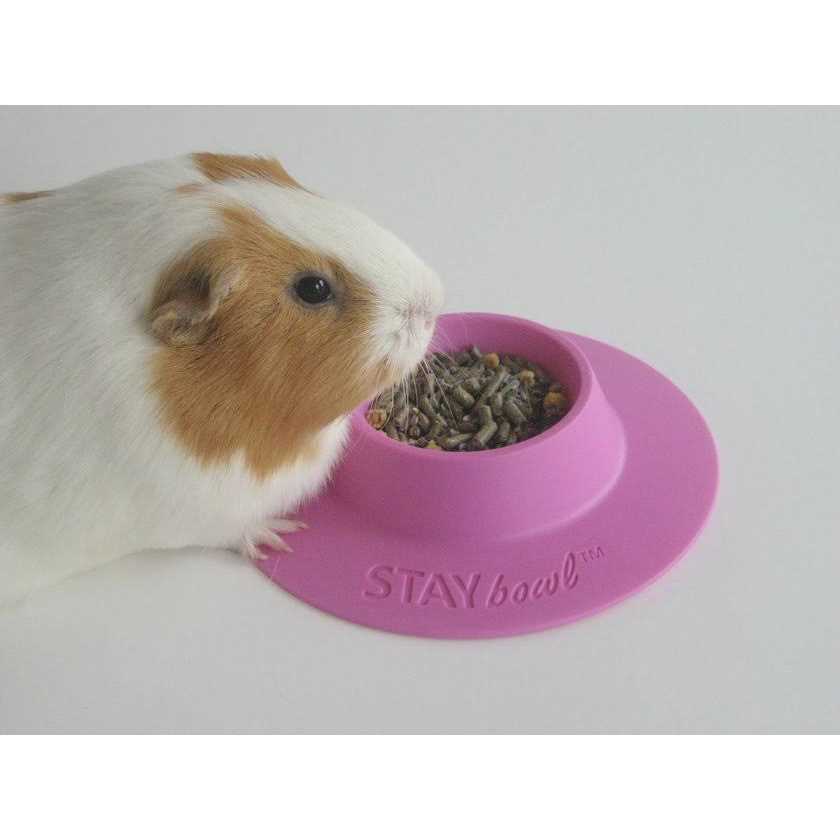 Tip-Proof Bowl for Guinea Pigs and Small Pets J11717