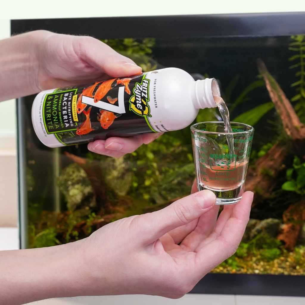 Freshwater Nitrifying Bacteria L56257