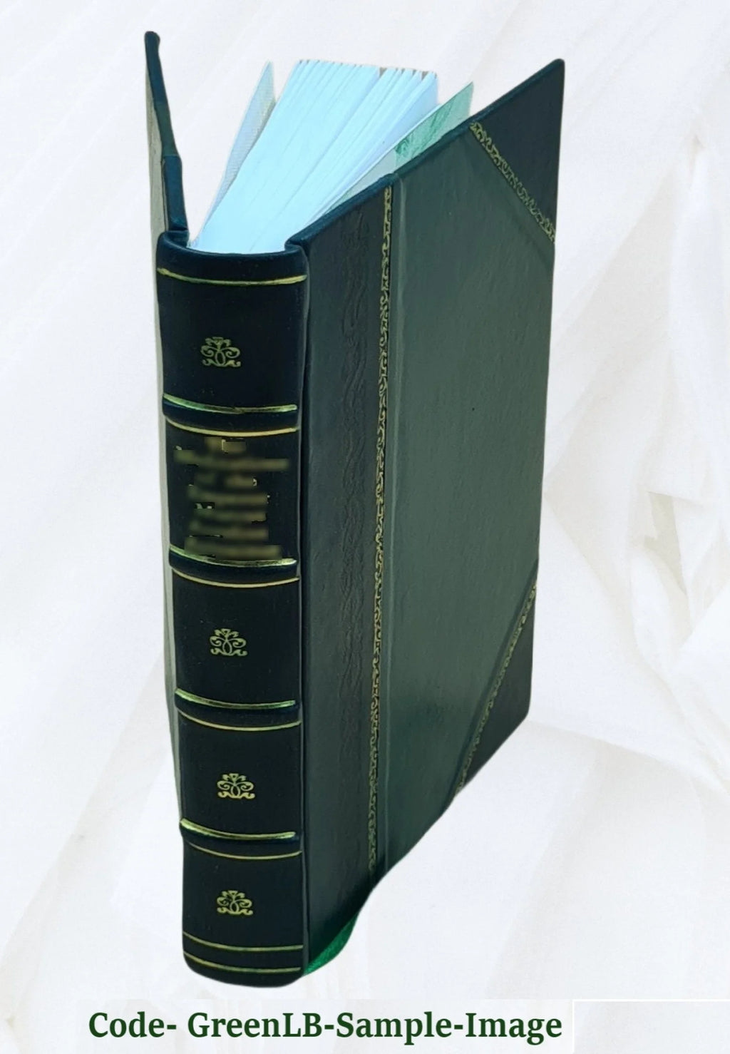 Leather Bound Book Y339
