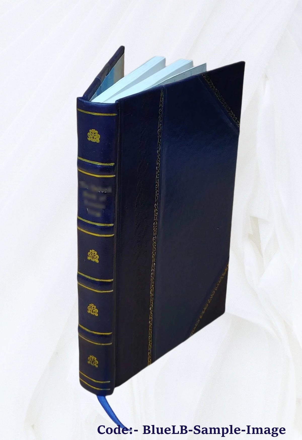 Leather Bound Book T22849