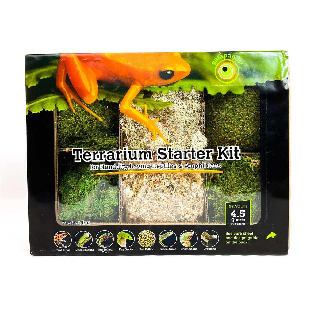 Terrarium Starter Kit J4986