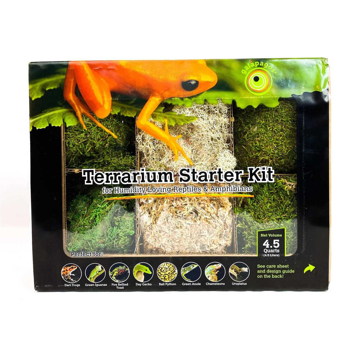 Terrarium Starter Kit J4986