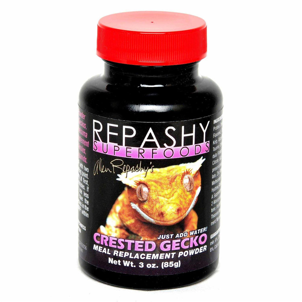 Crested Gecko Pet Supplies R25679