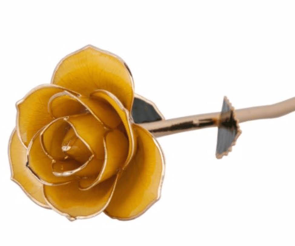 24K Gold Dipped Laquered Rose G7888