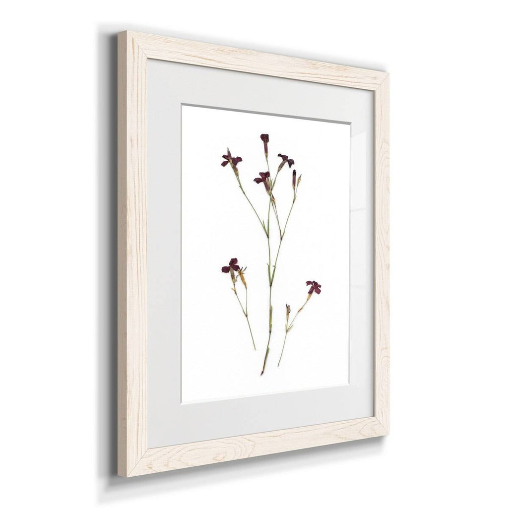 Framed Print - 23X32 - Grey B9653