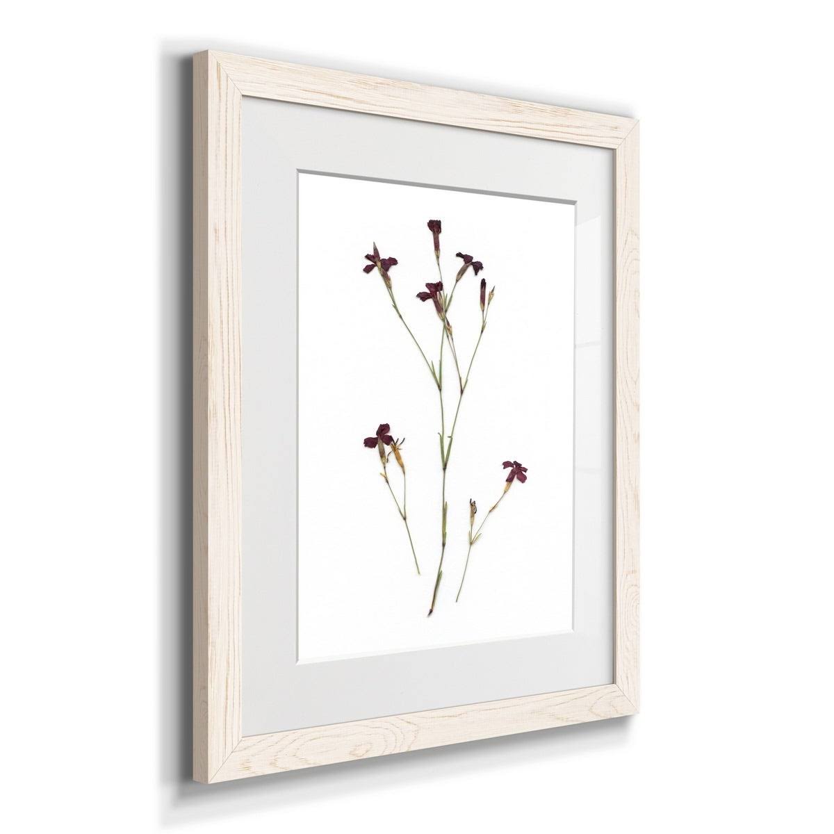 Framed Print - 23X32 - Grey B9653