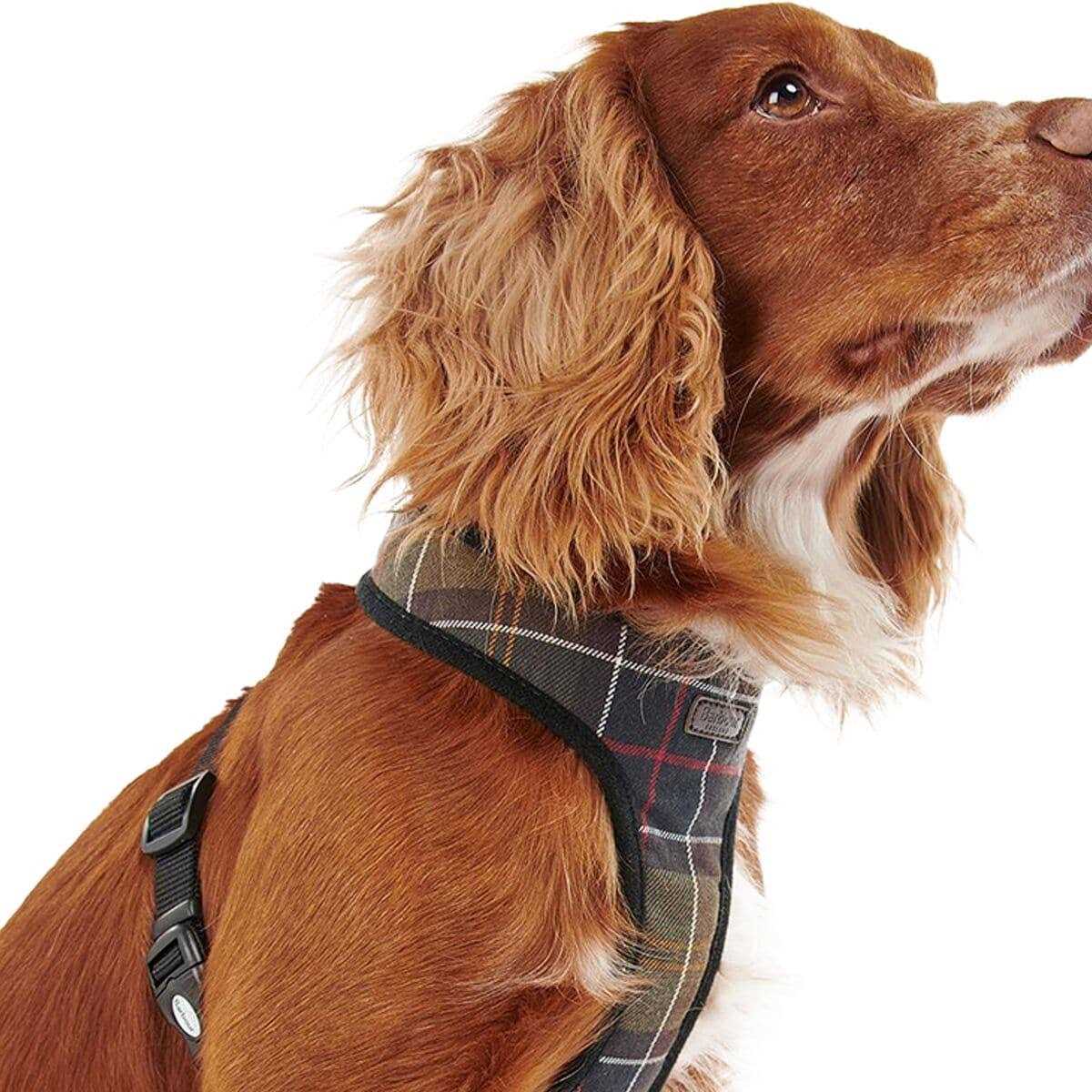 Tartan Dog Harness G24524