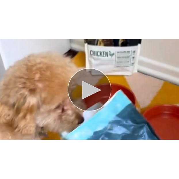 Freeze Dried Raw Complete Meal for Adult Dogs L5742