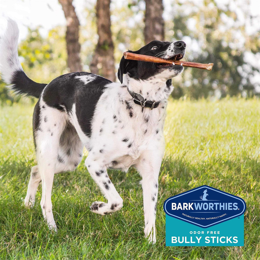 Odor Free Bully E75275