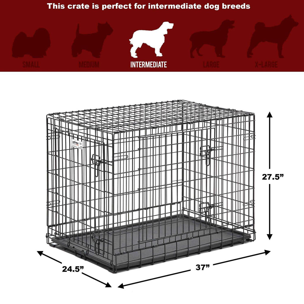 Double Door Dog Crate Y161756
