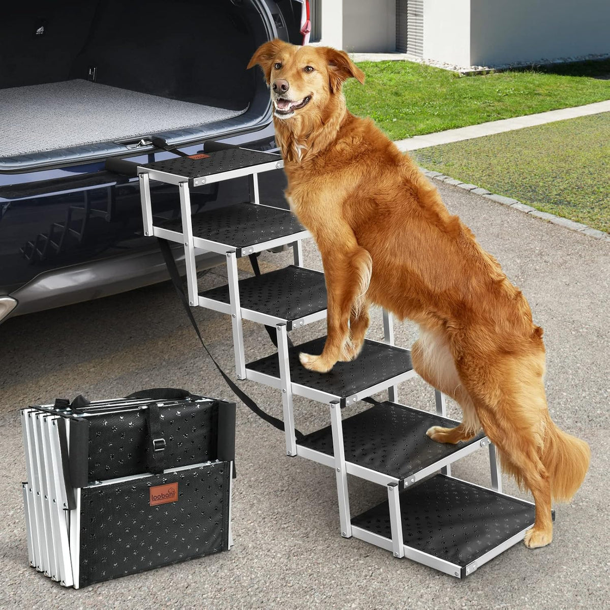 Folding Dog Ramp with Nonslip Surface O107