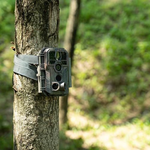 48MP 1296p Night Vision Waterproof Trail Camera H31123