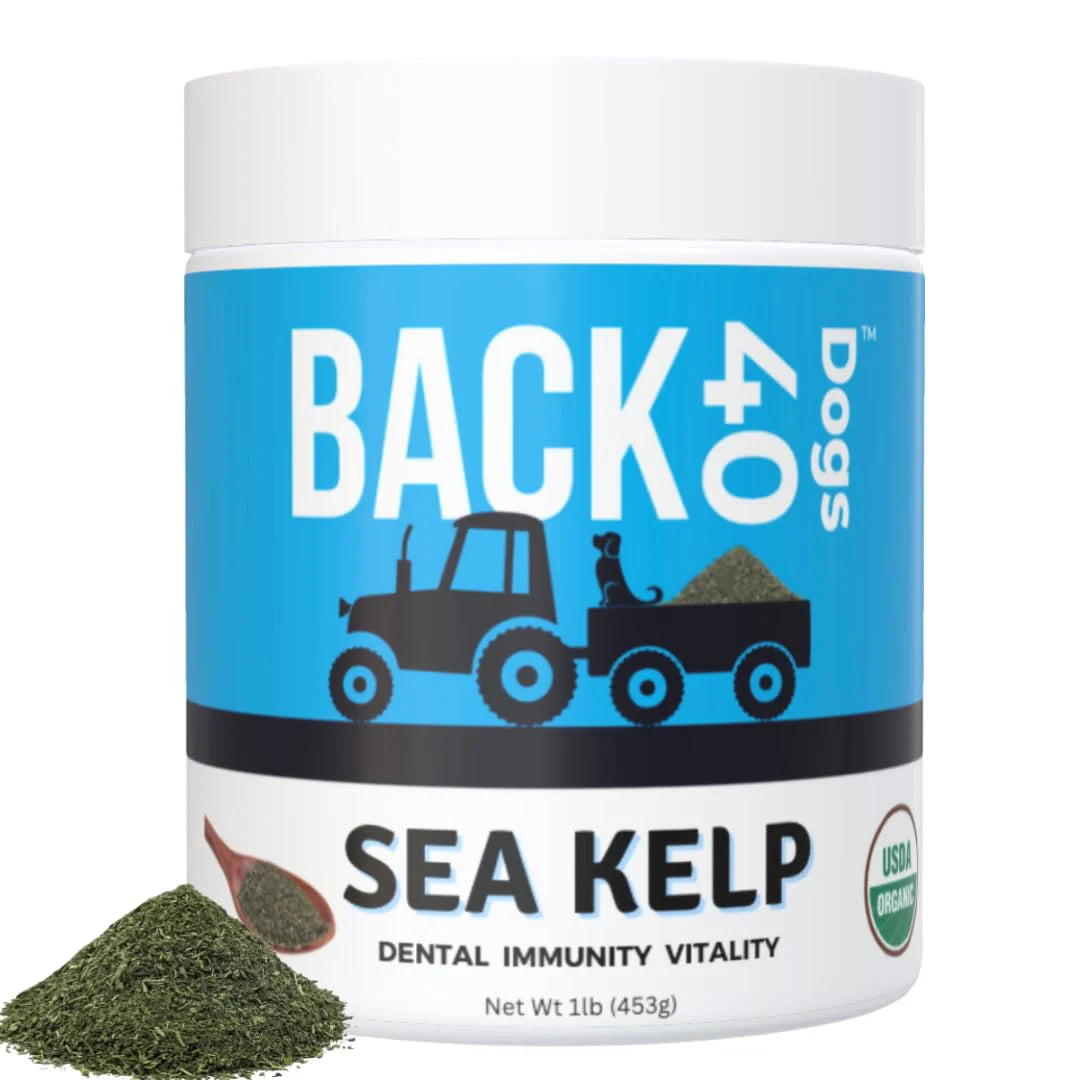 Kelp Powder Dog Supplement 453g S9942