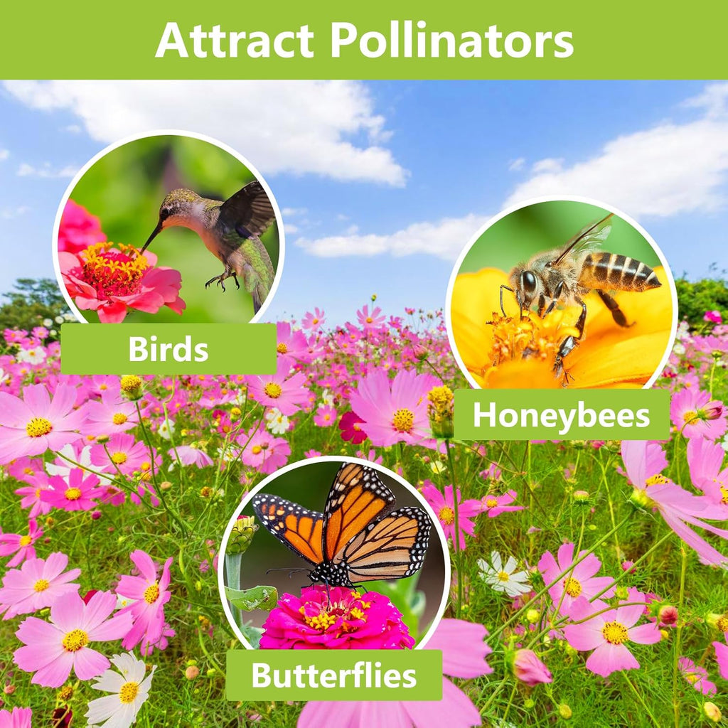 1.75 Ounce Wildflower Seeds Mix U735