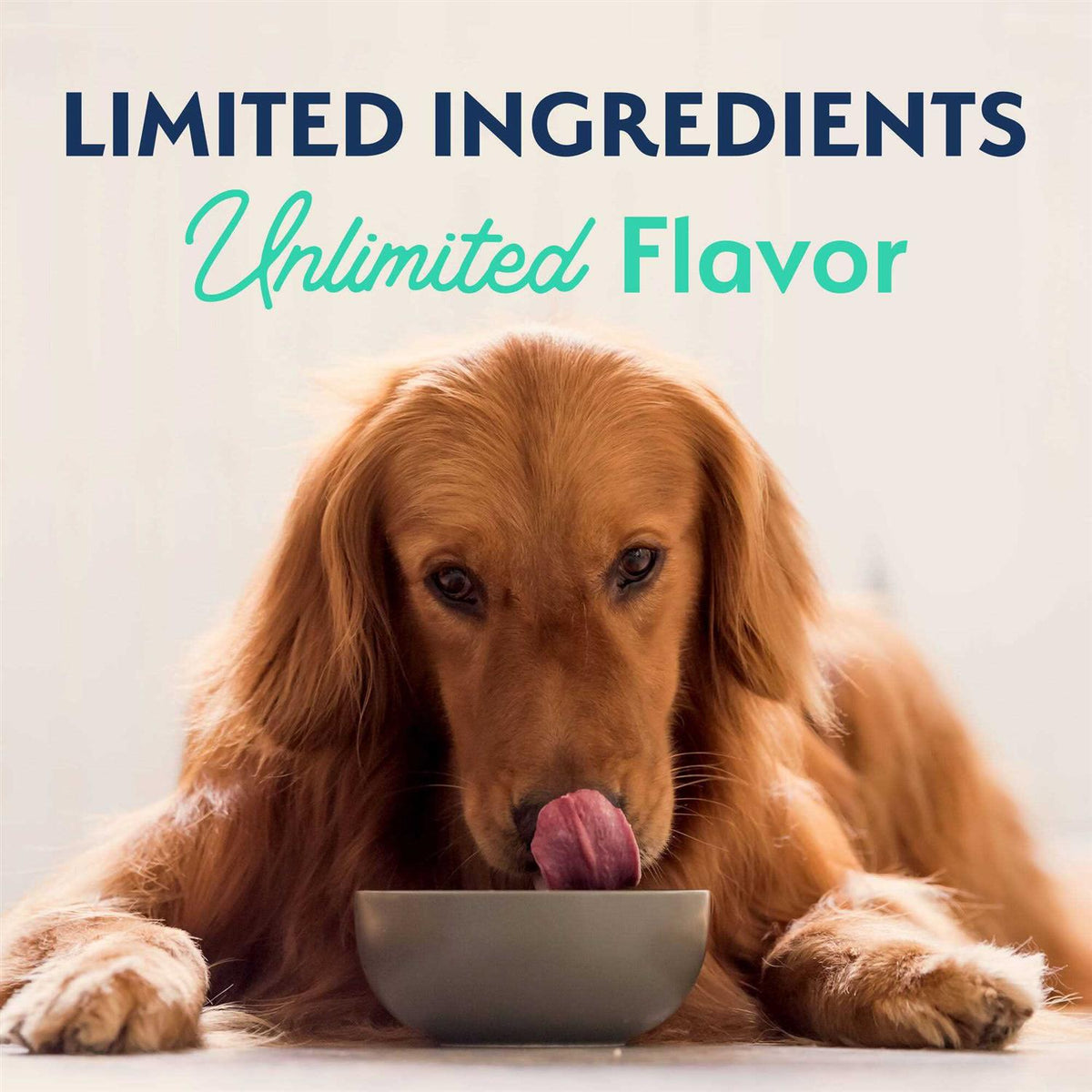 Chicken & Sweet Potato Dog Food S1176