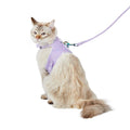 Cat Leash & Harness Combo B506393