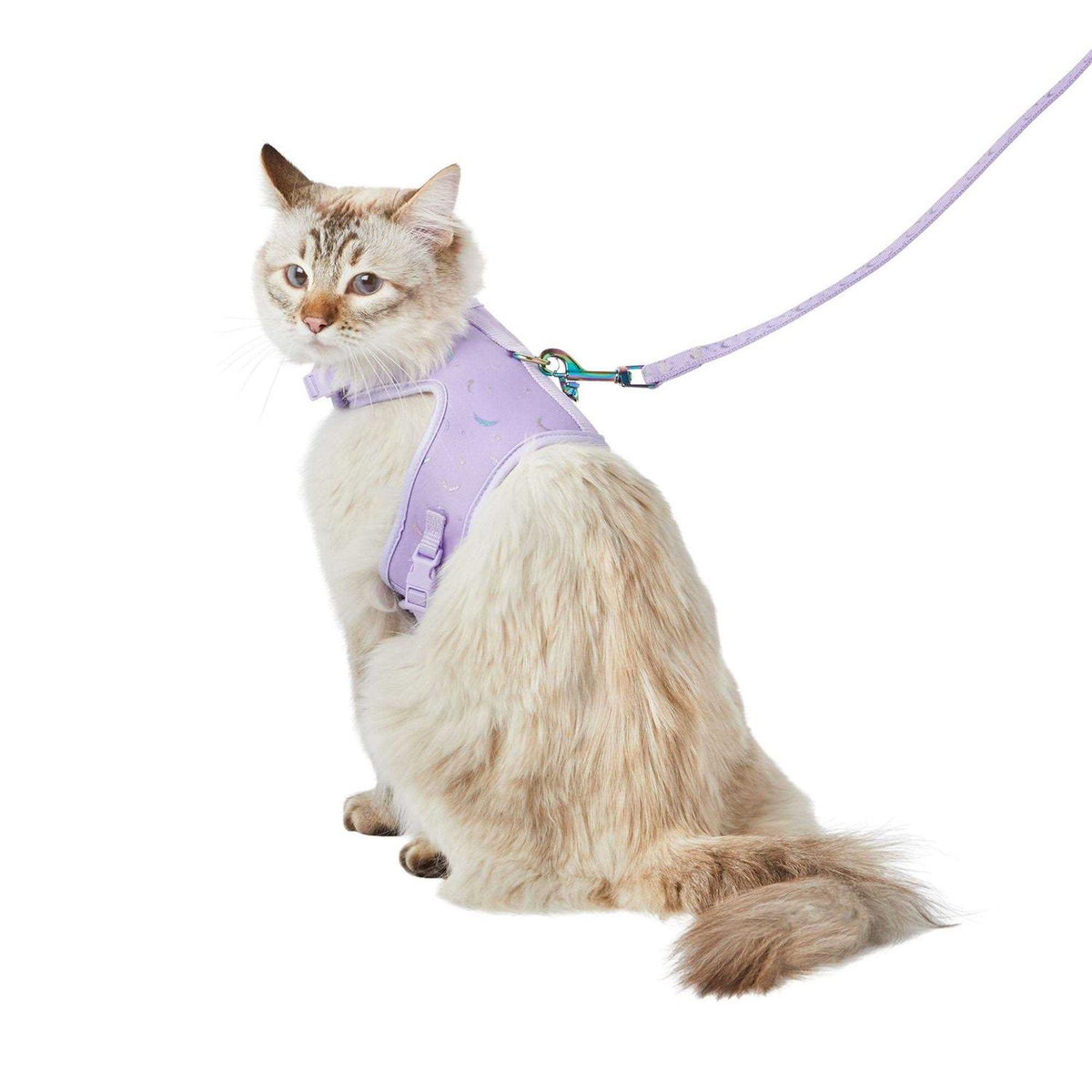 Cat Leash & Harness Combo B506393