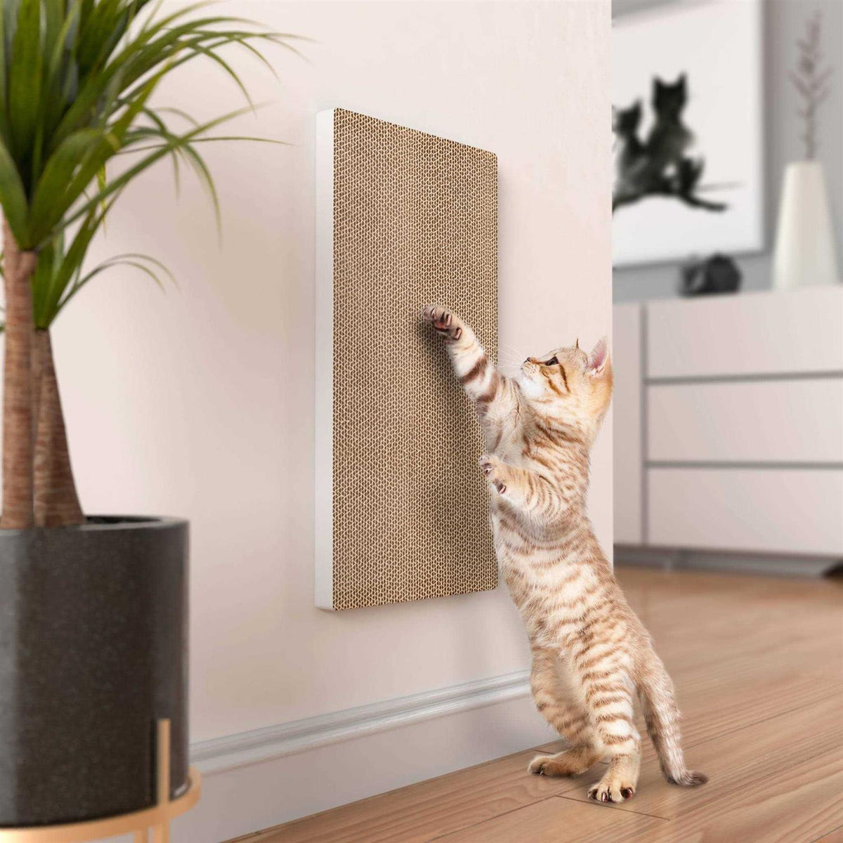 Wall Mount Cat Scratcher with Silvervine Catnip A595
