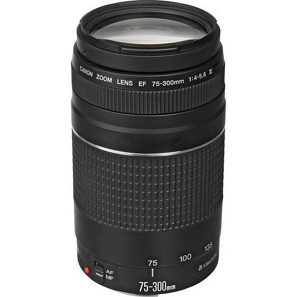 Digital SLR Camera Bundle with 24-105mm, 75-300mm, 50mm Lenses U8866