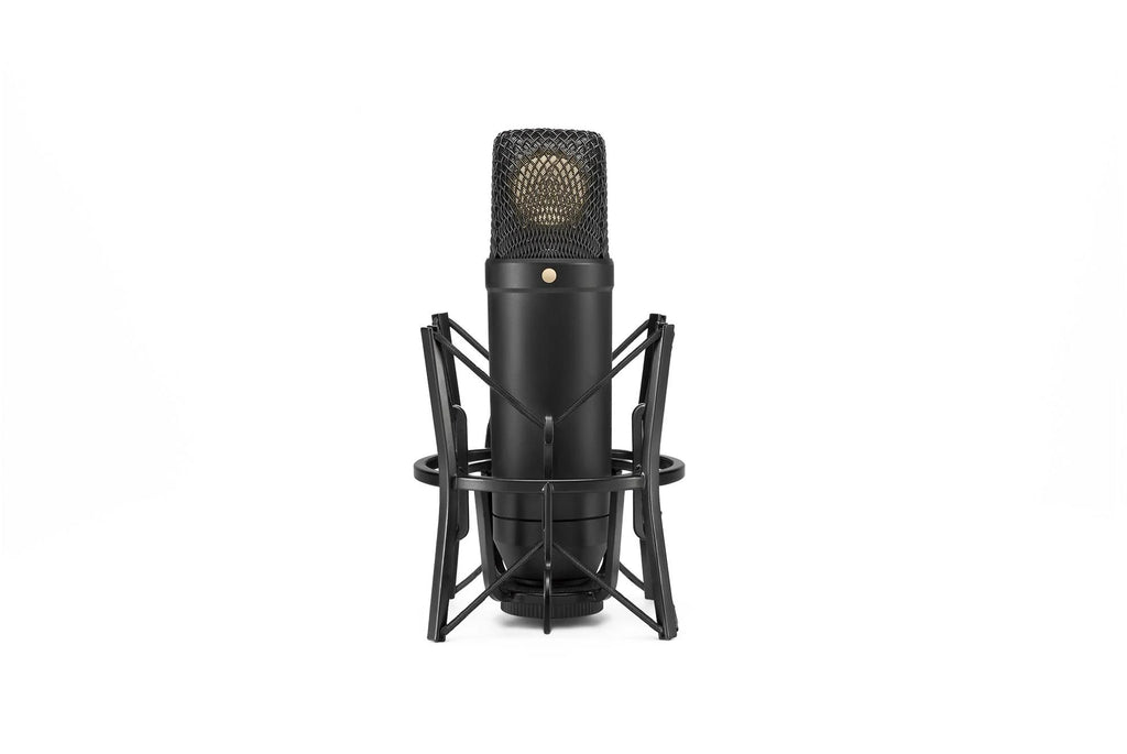 Condenser Microphone N160433