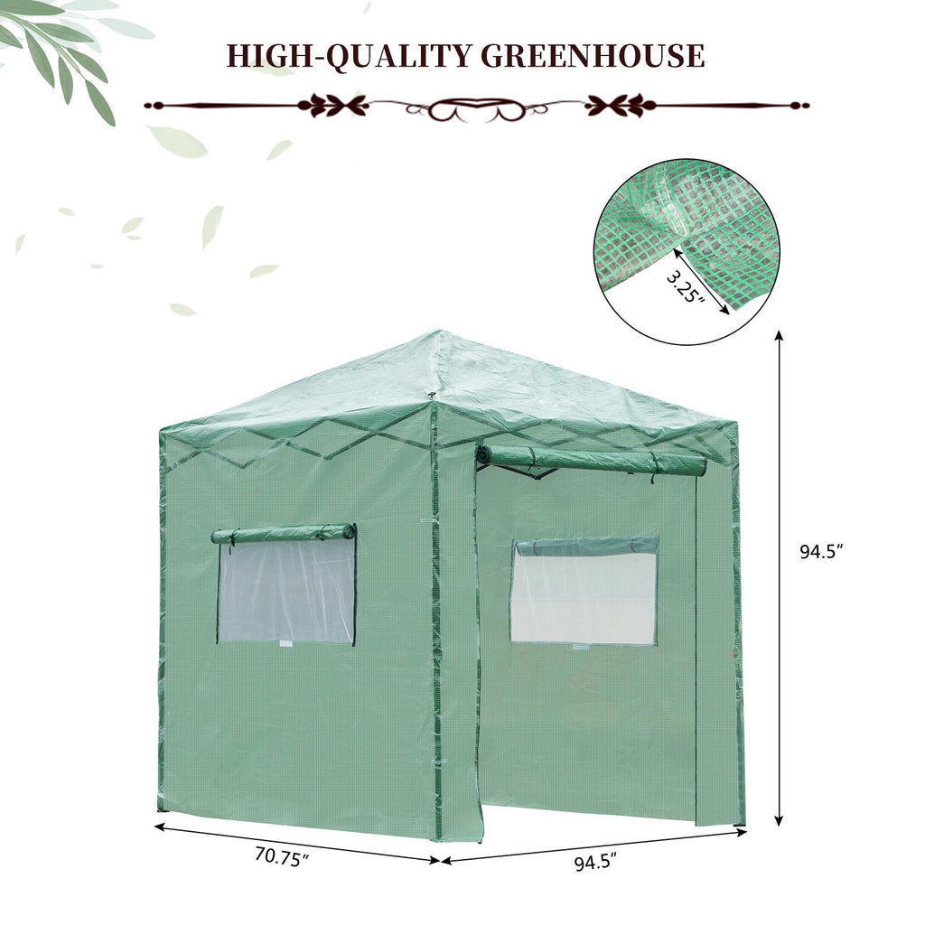 Greenhouse Pop Up Plant Y379