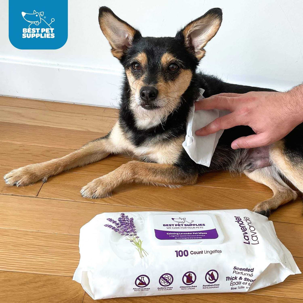 Pet Grooming Wipes for Dogs & Cats, 400 Pack P6547