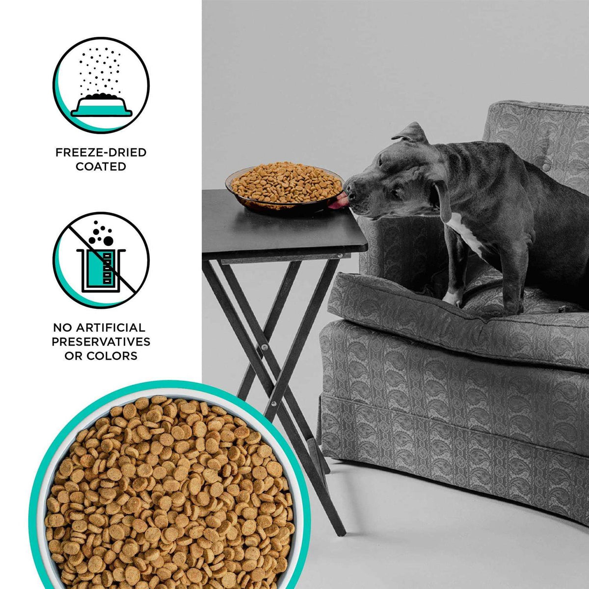 Duck Recipe Dry Dog Food B41078