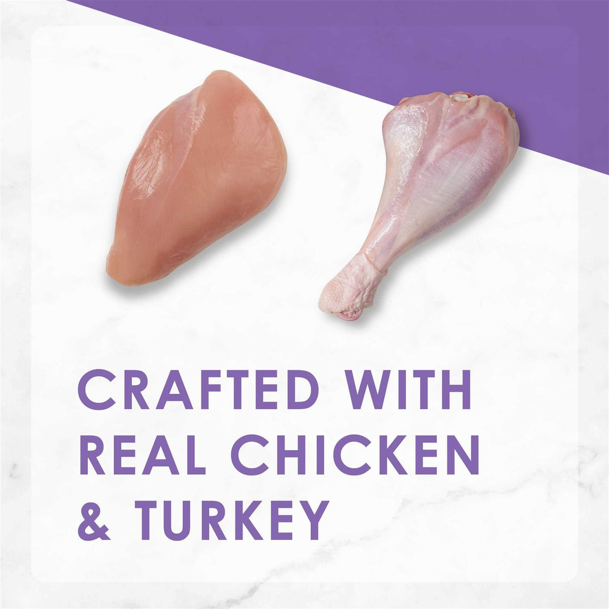 Dry Cat Food Savory Chicken Turkey Y798716