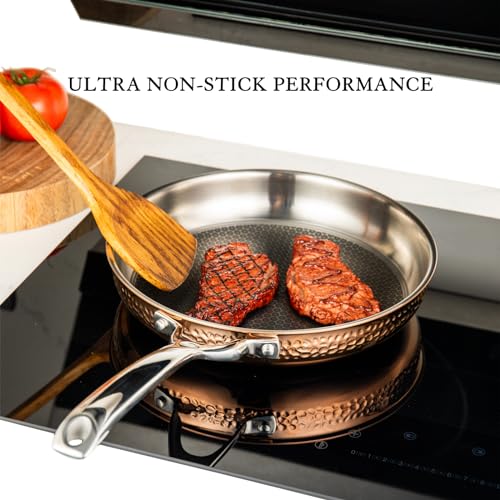 5 Piece Heavy Duty Stainless Steel Cookware Set T19036