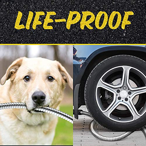 100 Ft Stainless Steel Garden Hose with Nozzle Y393001
