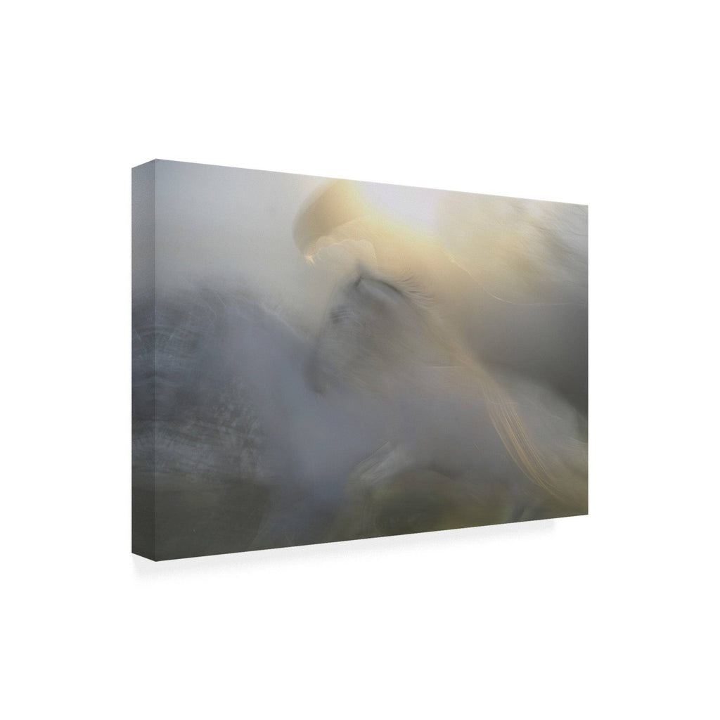 Canvas Art - 22x32 I89974