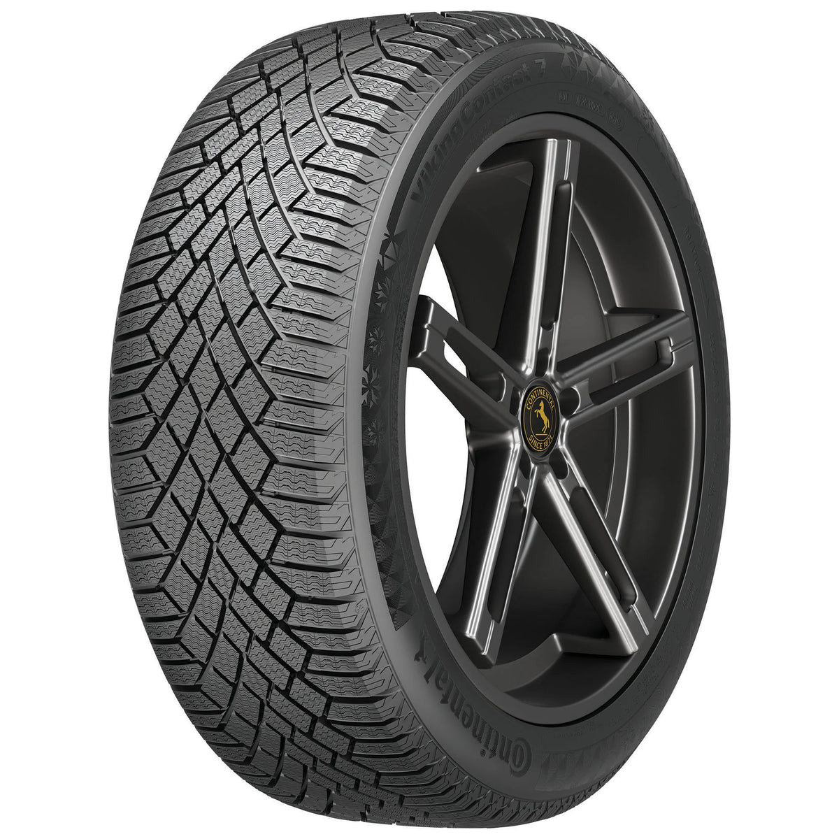Winter Passenger Tire L5819