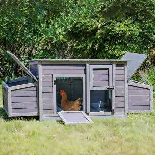 Chicken Coop with 2 Nesting Boxes T648