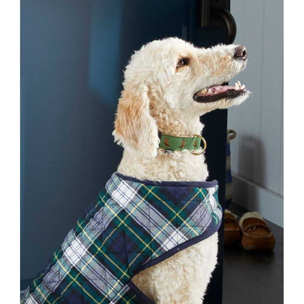 Dog Collar I586