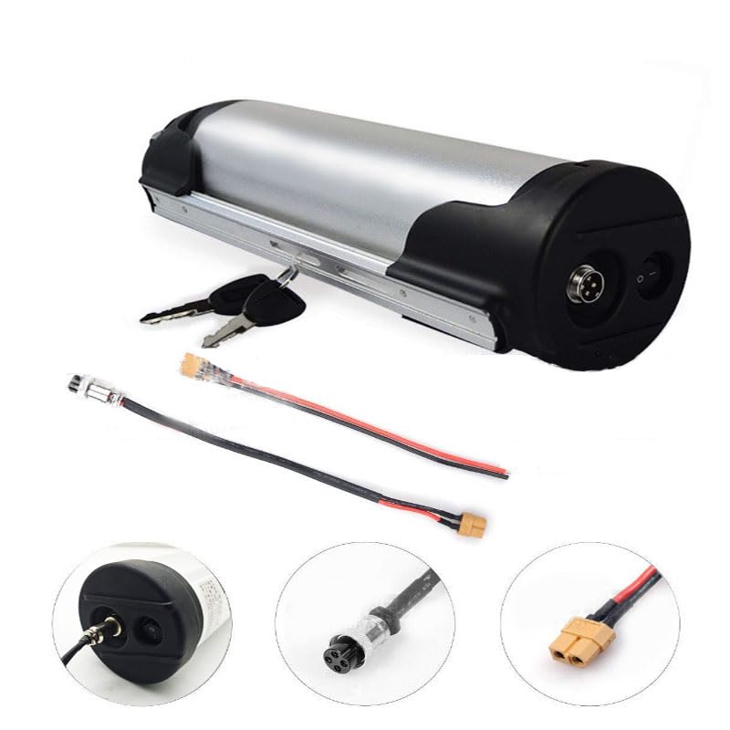 36V 8Ah 10Ah 12Ah 13Ah Lithium E-Bike Battery with Standard Charger F3006