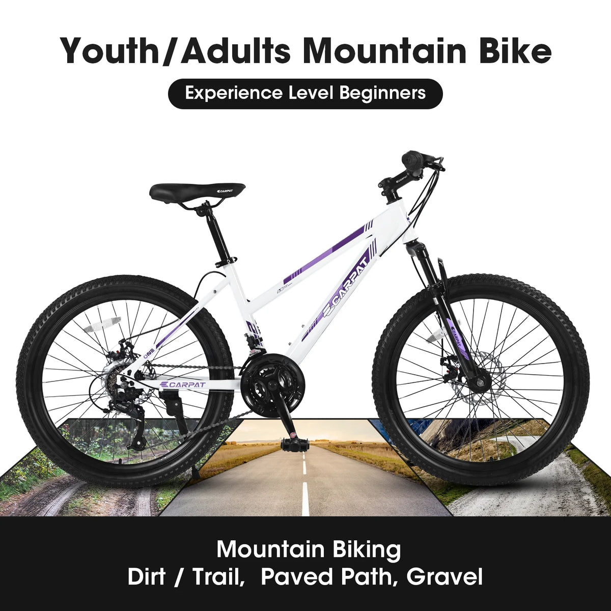 24 inch Mountain Bike with 21 Speeds Gear and Dual Disc Brakes G956