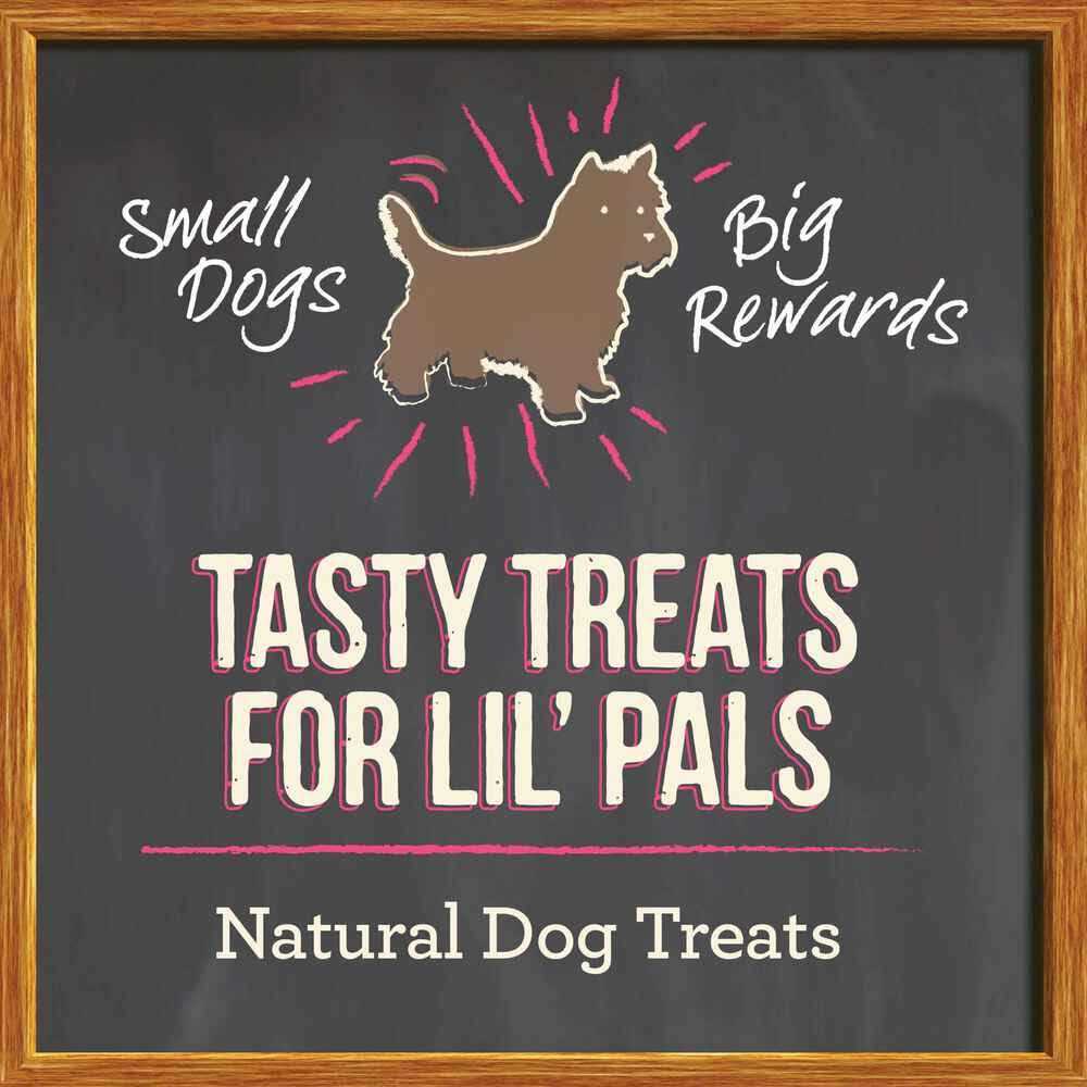 Small Recipe Dog Treats R372