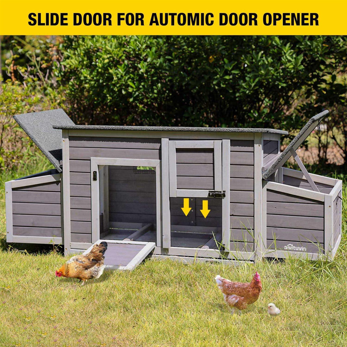 Chicken Coop with 2 Nesting Boxes T648