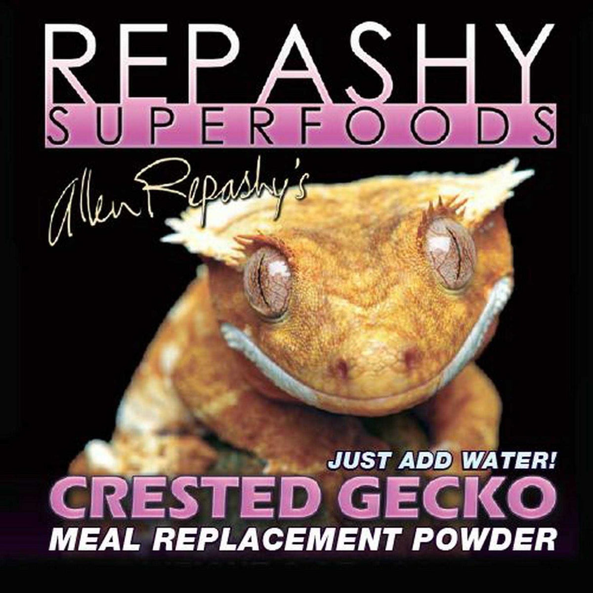 Crested Gecko Pet Supplies R25679