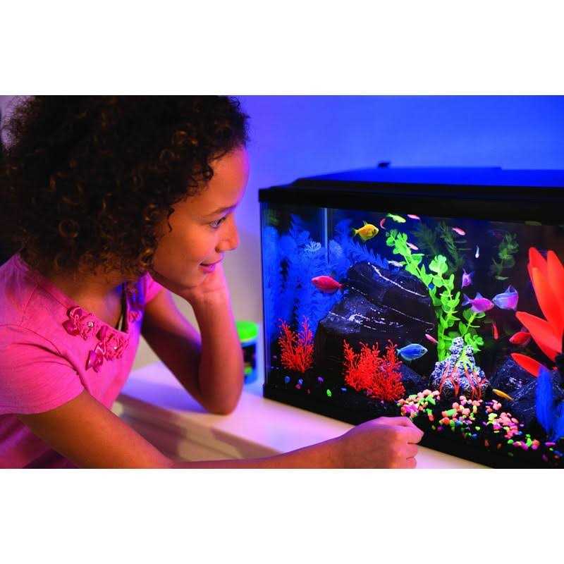 20 Gallon Aquarium Kit with LED Lights Decor Heater and Filter L59855