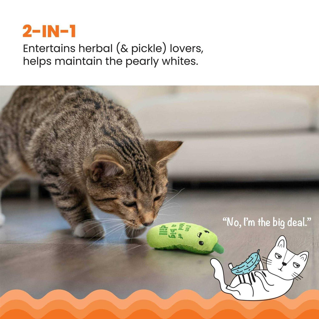 Crunchy Catnip Cat Toy P95733