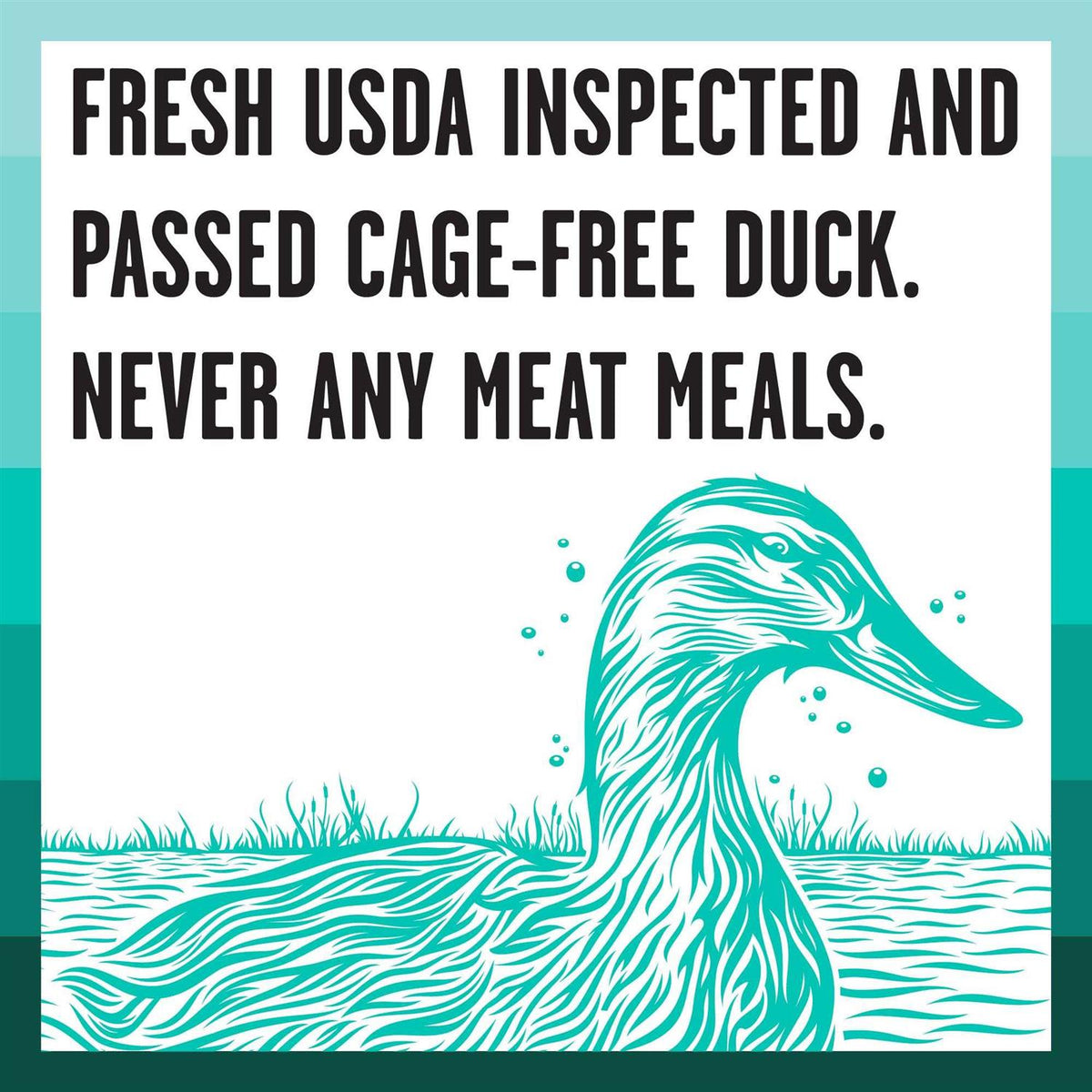 Duck Recipe Dry Dog Food B41078