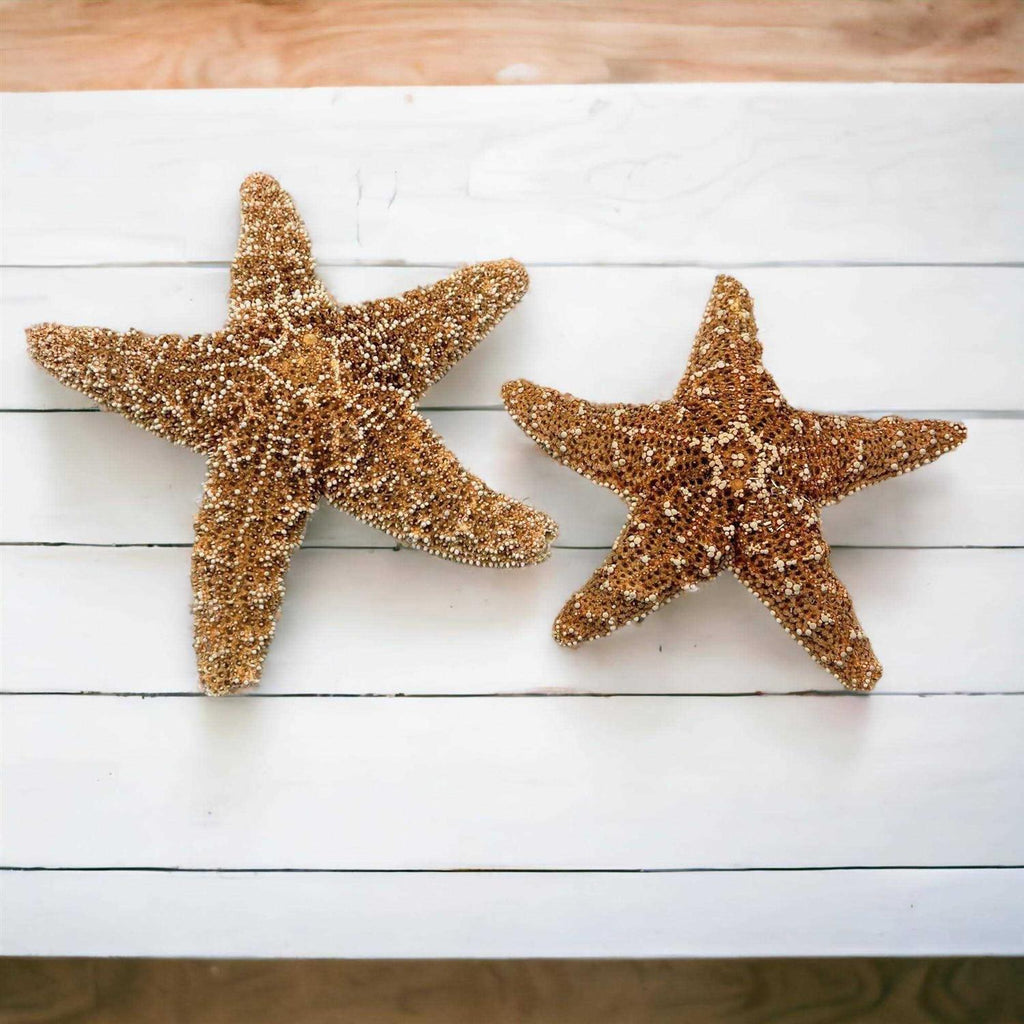 Starfish Decor D76185