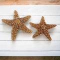 Starfish Decor D76185