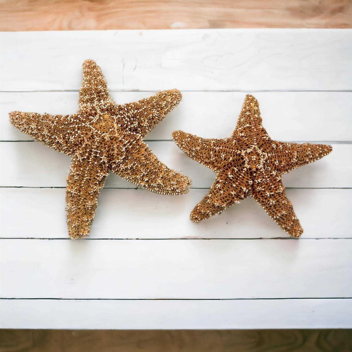 Starfish Decor D76185